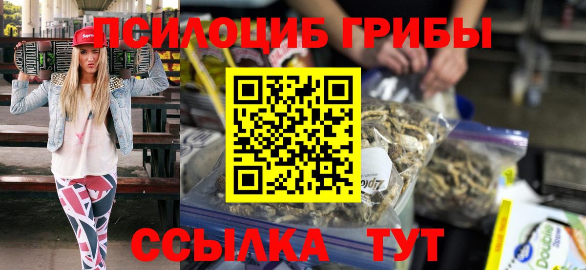 что такое наркотик  Галлюциногенные грибы GOLDEN TEACHER  Вход с VPN  Сердобск 