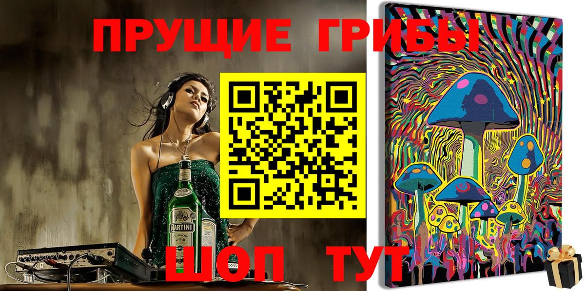 Галлюциногенные грибы Psilocybe Сердобск